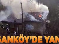 Doğanköy'de Yangın