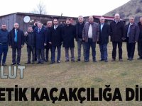 Akbulut "Bitki ve Genetik Kaçaklığa Dikkat"