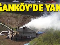 Akçaabat'ta Yangın