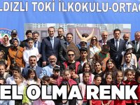 Engel Olma Renk Kat