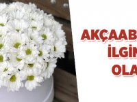 Akçaabat'ta İlginç Olay