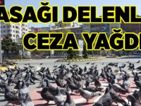 Yasağı Delenlere Ceza Yağdı