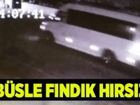Fındık Hırsızları Yakalandı