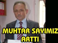 Işıklarda Seçim Vardı