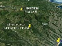 Proje Hayata Geçecer mi?