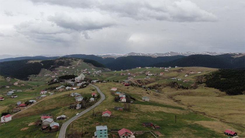 trabzon-duzkoy-yaylasi.jpg