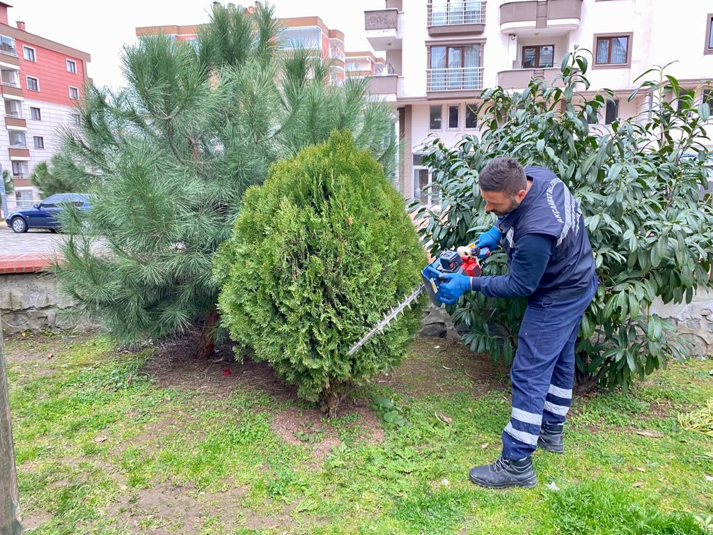 park-ve-bahce-calismlari-2501222-3.jpeg