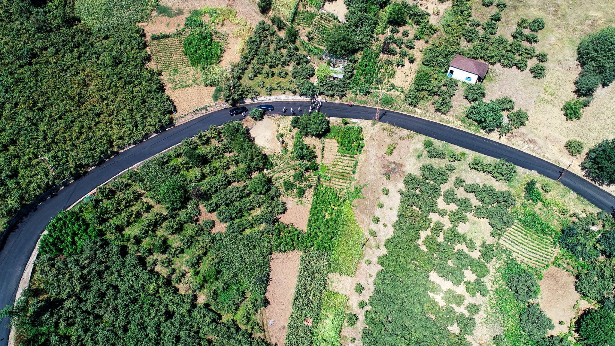 trabzon-yol.jpg