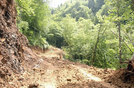 agac-kesimi1.20110620122313.gif agac-kesimi1.20110620122313.gif