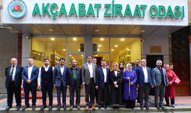 akcaabat-bahar-ayvazoglua.jpg