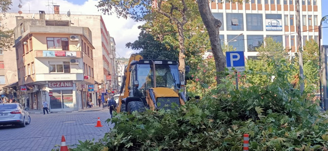 akcaabat-park-bahceler-agaclari-budadi.jpg