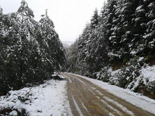 akcaabat-yayla-kar.jpg