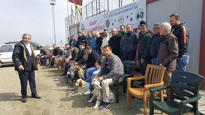 akcaabatta-kopekler-asilandi.jpg