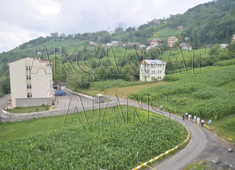 duzkoy-bomba.jpg