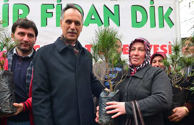 fidan.jpg