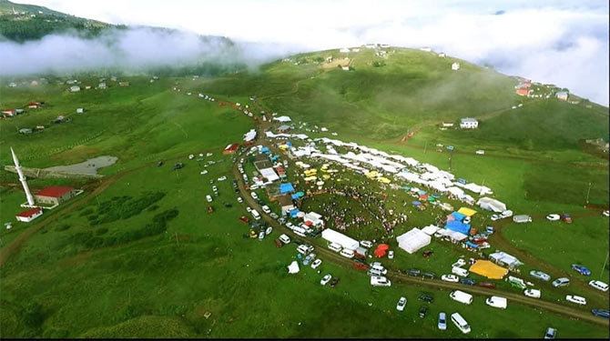 hirsafa-senlik.jpg