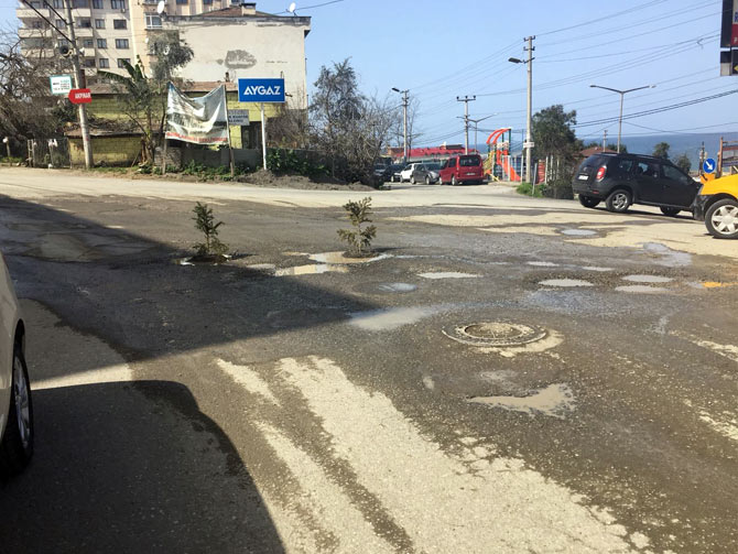 trabzon-yildizli-yola-fidan-diktiler2.jpg