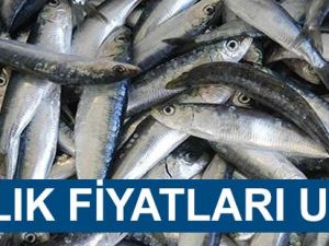 Akçaabat'ta Balık Fiyatları Uçtu