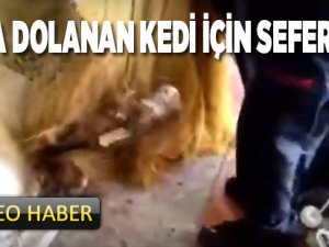 Ağlara Dolanan Kedi İçin Seferberlik