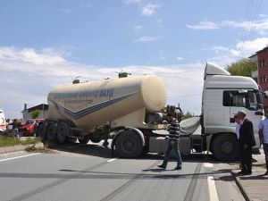 Koyun Sürüsü Faciaya neden Oluyordu
