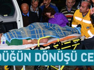 Trabzon'un Düzköy ilçesindeki kazada 2 kişi öldü